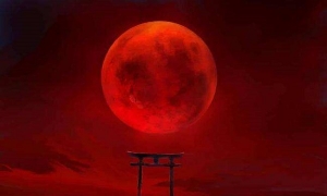 Ѫ¡ôγɵأ