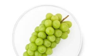 йũձʧϰڣ