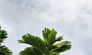 Ϊʲôôϲƣ