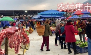 ũ弯20ԪֵָţƤ