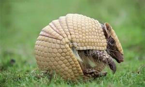 Ϊʲǫ̂ʡô½أ