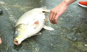 ǧˣڹꡱжã